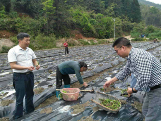 黄色网站