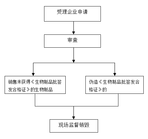黄色网站